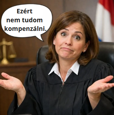 jogorvoslathoz való jog